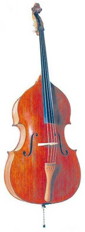 Oqan Odb 200 Contrebasse 3/4 - Acoustic double bass - Main picture