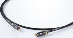 Cable Pioneer dj Câble RCA RCA Numérique Coaxial 2m