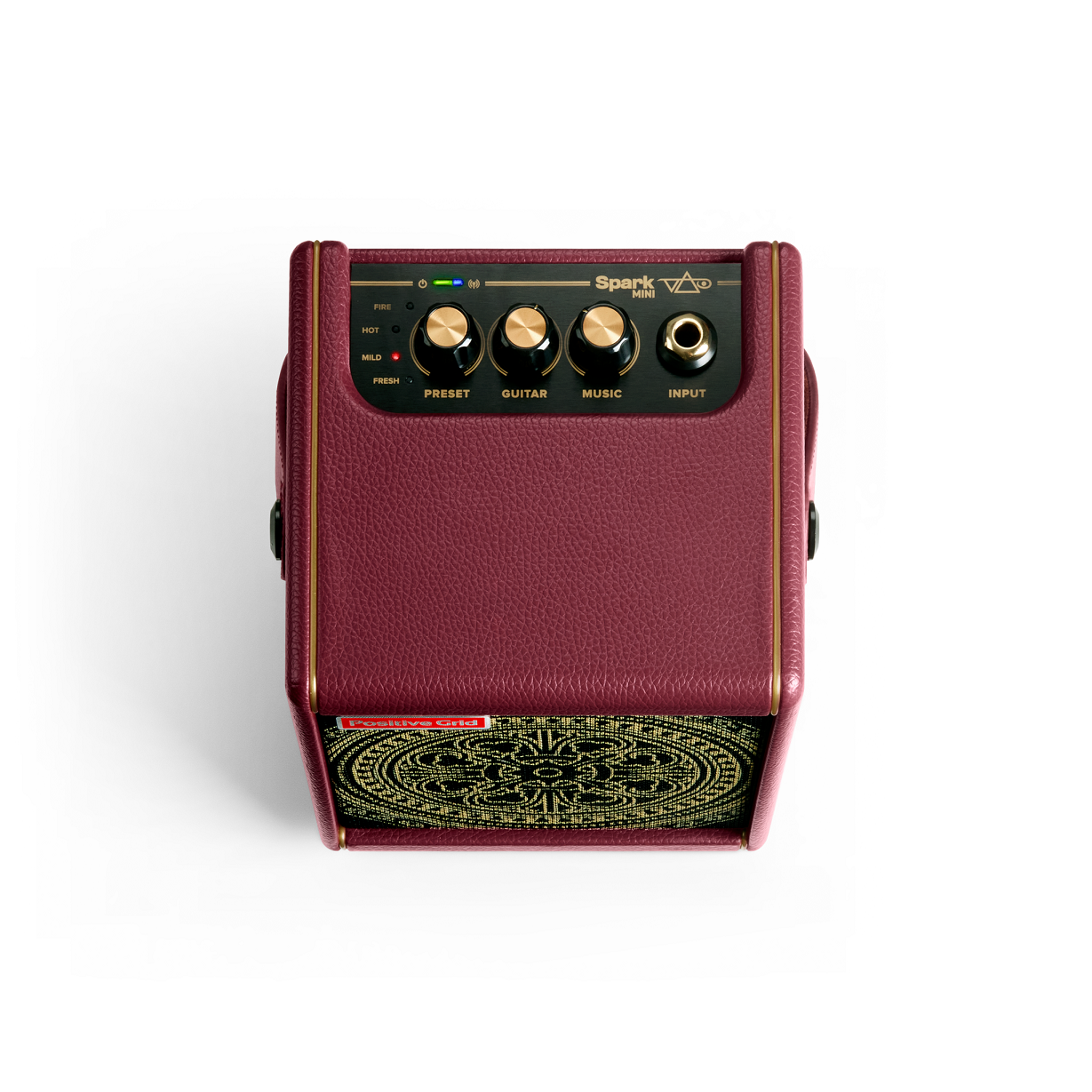 Positive Grid Spark Mini Artist Series Vai Combo 10w 2x2 - Electric guitar combo amp - Variation 2