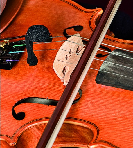 Prodipe Vl21-c Lanen Violin -  - Variation 3