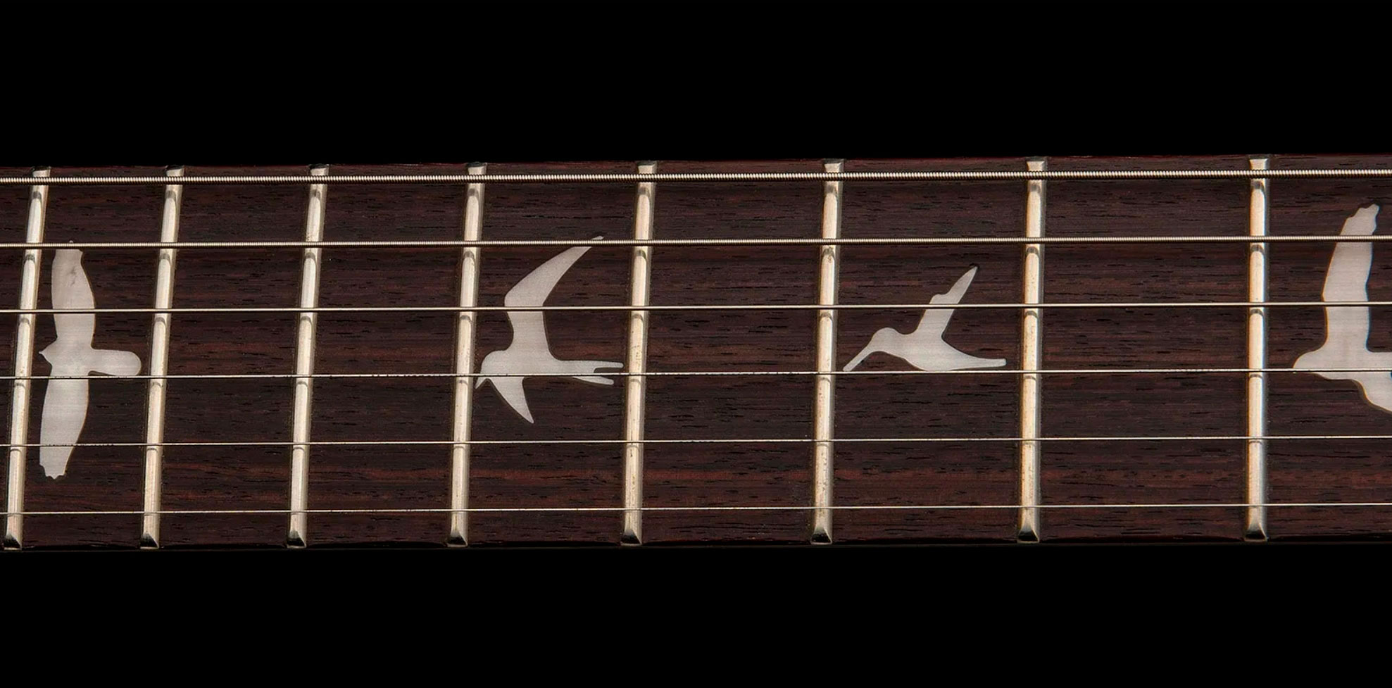 Prs Ce24 Standard Stoptail Satin Se Bolt-on 2h Trem Rw - Metallic Gold - Double cut electric guitar - Variation 4