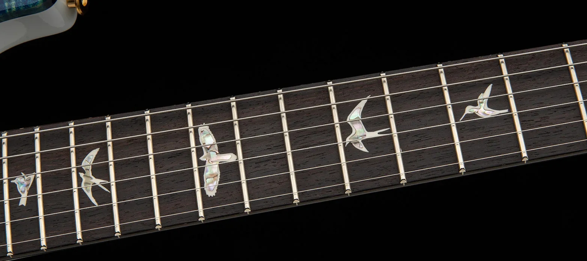 Prs Custom 24-08 Usa 2h Tci Trem Rw - Black Top / Natural Back - Double cut electric guitar - Variation 3