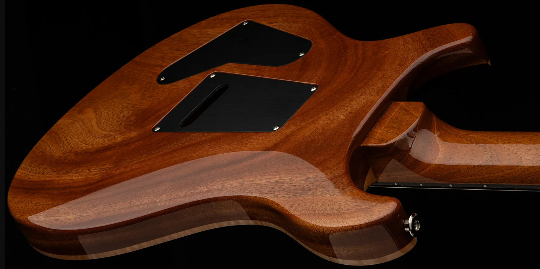 Prs Custom 24 40th Ann. Ltd Usa 2h Dmo Trem Rw - Tiger Eye - Double cut electric guitar - Variation 3