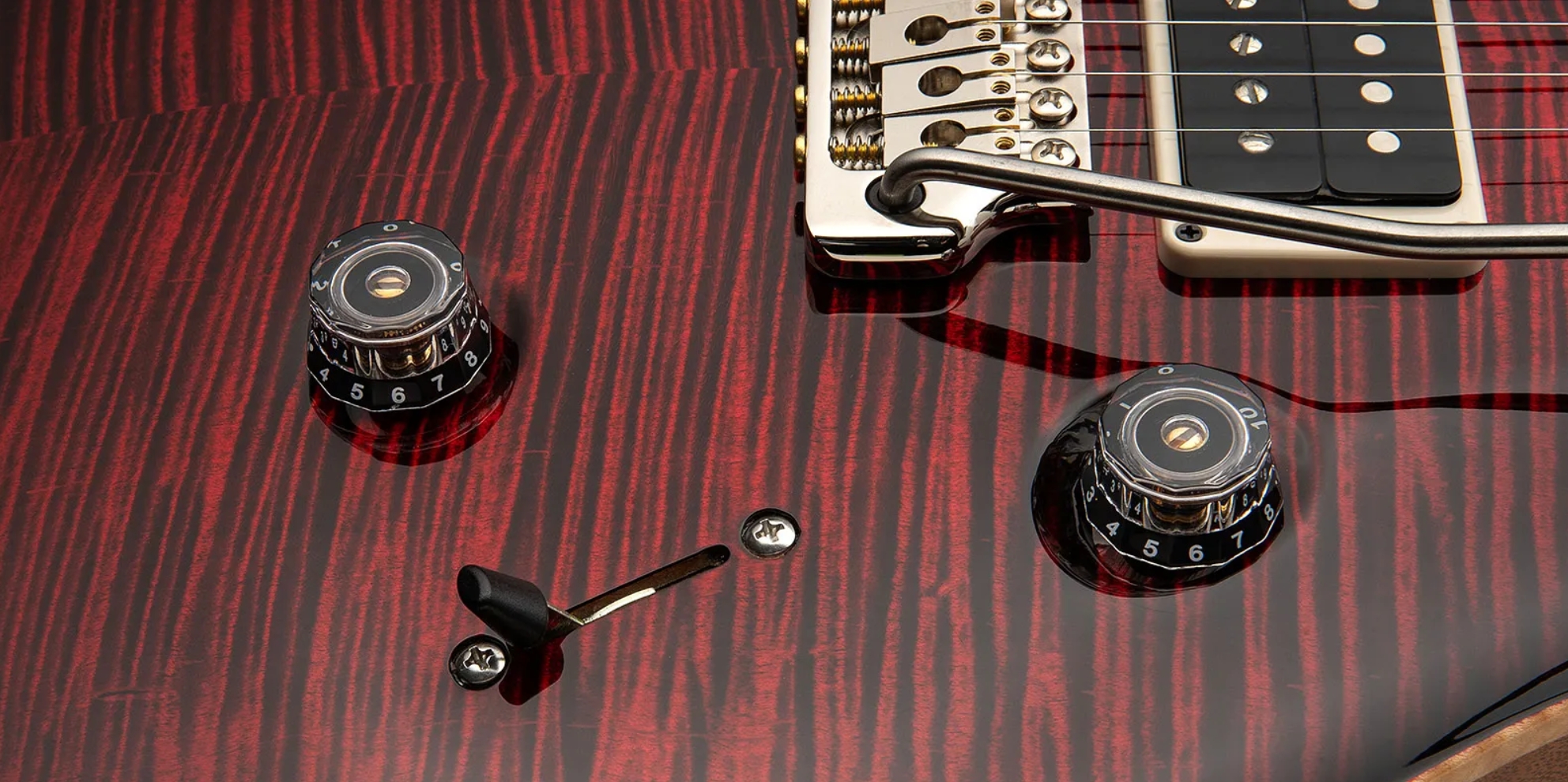 Prs Custom 24 Birds Of A Feather Usa Ltd 2h Trem Eb/mn - Blood Red - Double cut electric guitar - Variation 4