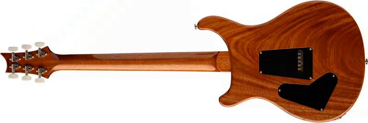 Prs Custom 24 Usa 2h Dmo Trem Rw - Carroll Blue - Double cut electric guitar - Variation 1