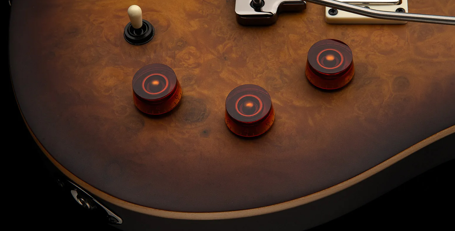 Prs David Grissom Dgt Laurel Burl Se Exotic Veneer Trem 2h Rw - Mccarty Tobacco Burst - Double cut electric guitar - Variation 3