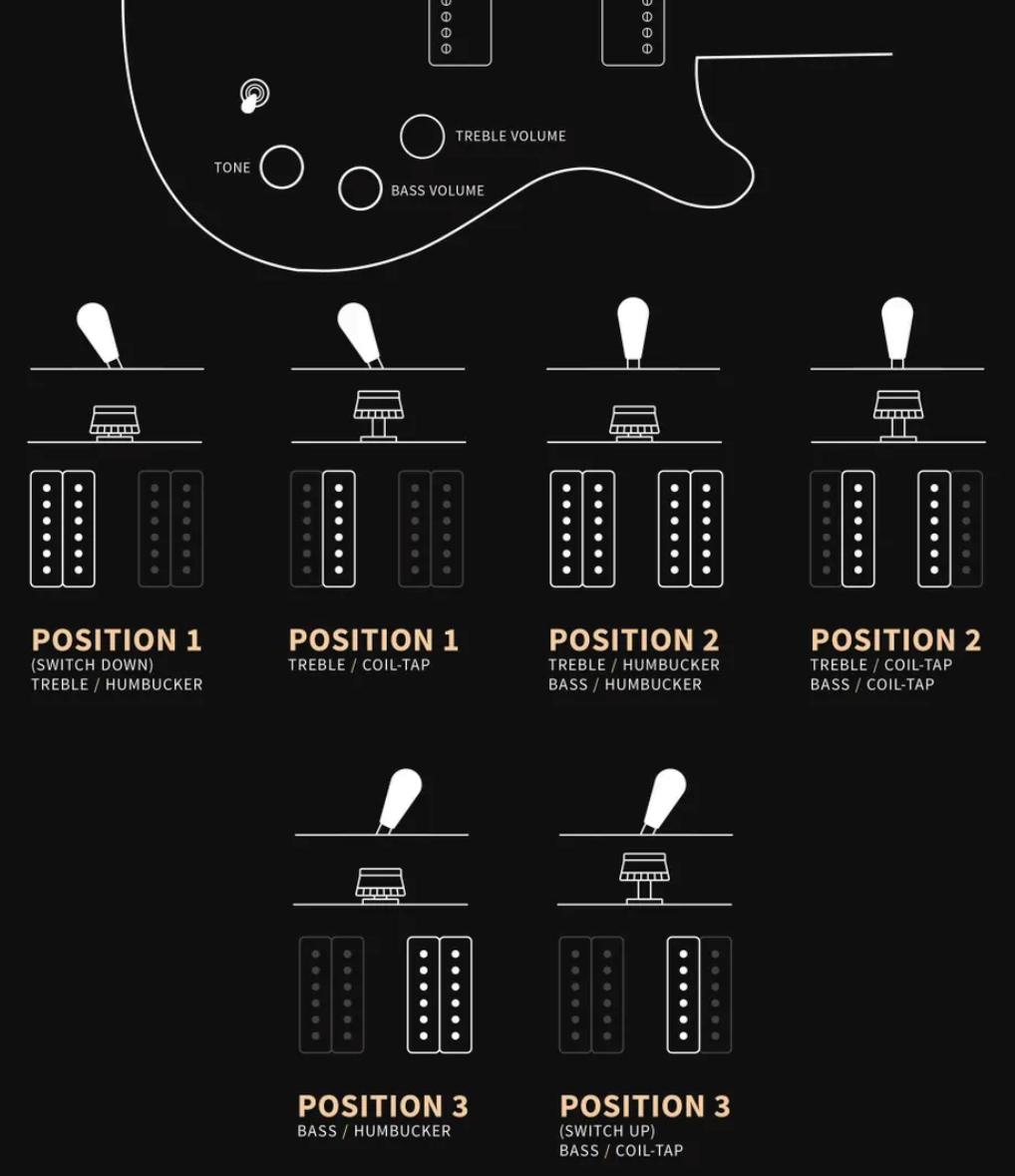 Prs David Grissom Dgt Se Signature 2h Trem Rw - Gold Top Moon Inlays - Double cut electric guitar - Variation 3