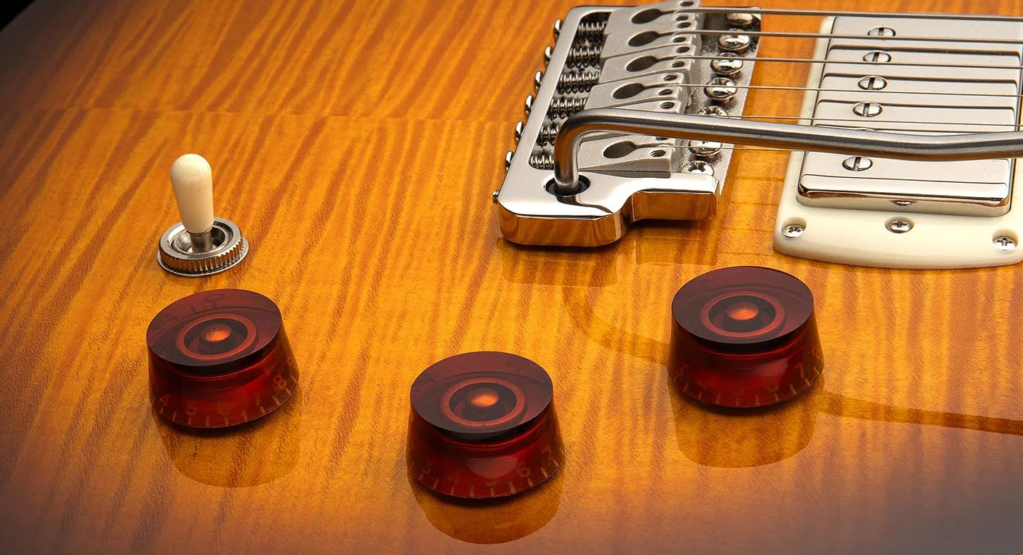 Prs David Grissom Dgt Se Signature Birds 2h Trem Rw - Mccarty Tobacco Sunburst - Double cut electric guitar - Variation 4