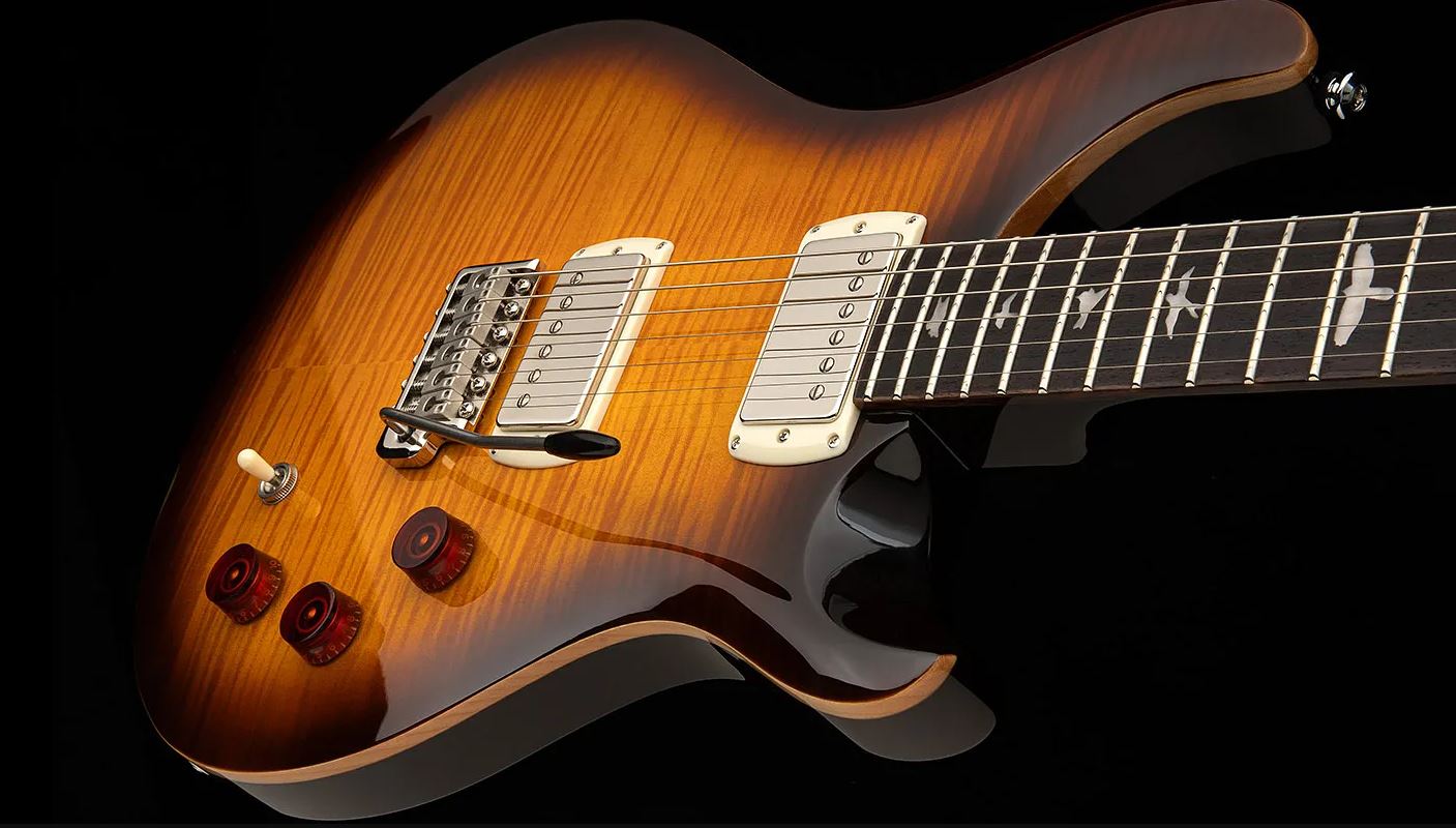 Prs David Grissom Dgt Se Signature Birds 2h Trem Rw - Mccarty Tobacco Sunburst - Double cut electric guitar - Variation 5