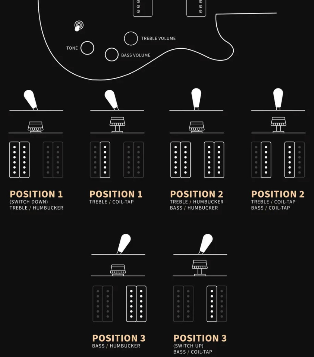 Prs David Grissom Dgt Usa Signature 2h Trem Rw - Gold Top Moon Inlays - Double cut electric guitar - Variation 2