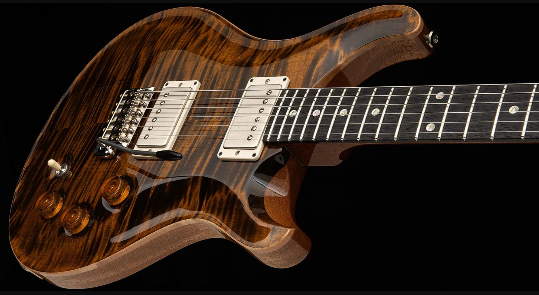 Prs David Grissom Dgt Usa Signature 2h Trem Rw - Tiger Eye - Double cut electric guitar - Variation 2