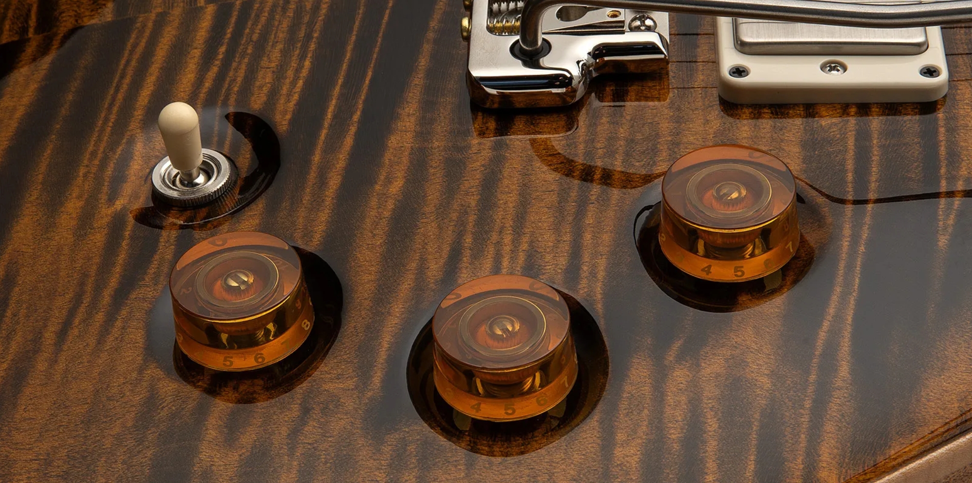 Prs David Grissom Dgt Usa Signature 2h Trem Rw - Tiger Eye - Double cut electric guitar - Variation 3