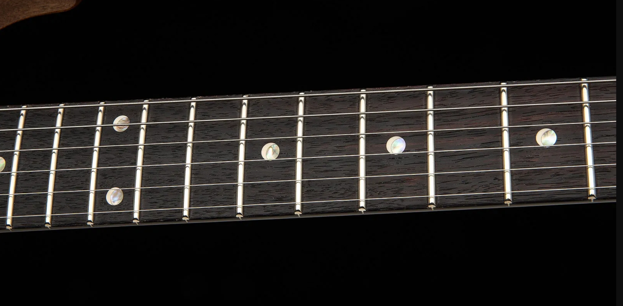 Prs David Grissom Dgt Usa Signature 2h Trem Rw - Tiger Eye - Double cut electric guitar - Variation 4