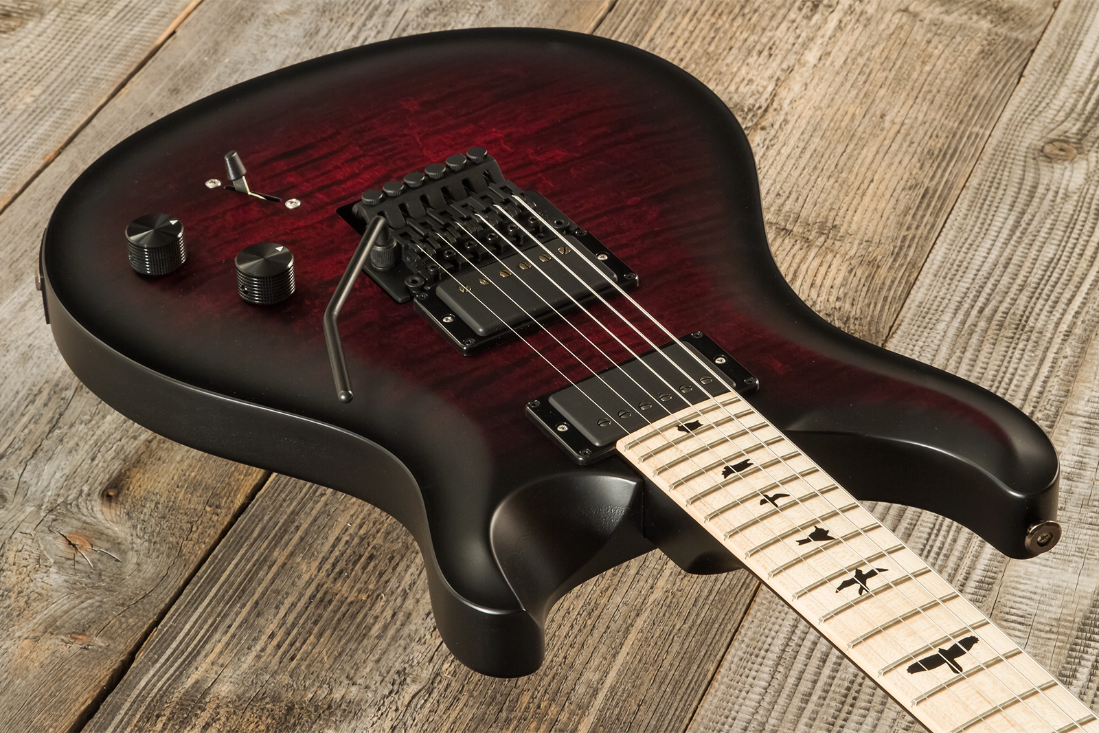 Prs Dustie Waring Dw Ce 24 Floyd Bolt-on Usa Signature 2h Fr Mn - Waring Smokeburst - Double cut electric guitar - Variation 2
