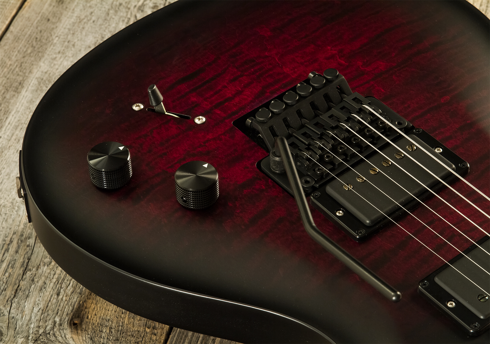 Prs Dustie Waring Dw Ce 24 Floyd Bolt-on Usa Signature 2h Fr Mn - Waring Smokeburst - Double cut electric guitar - Variation 3