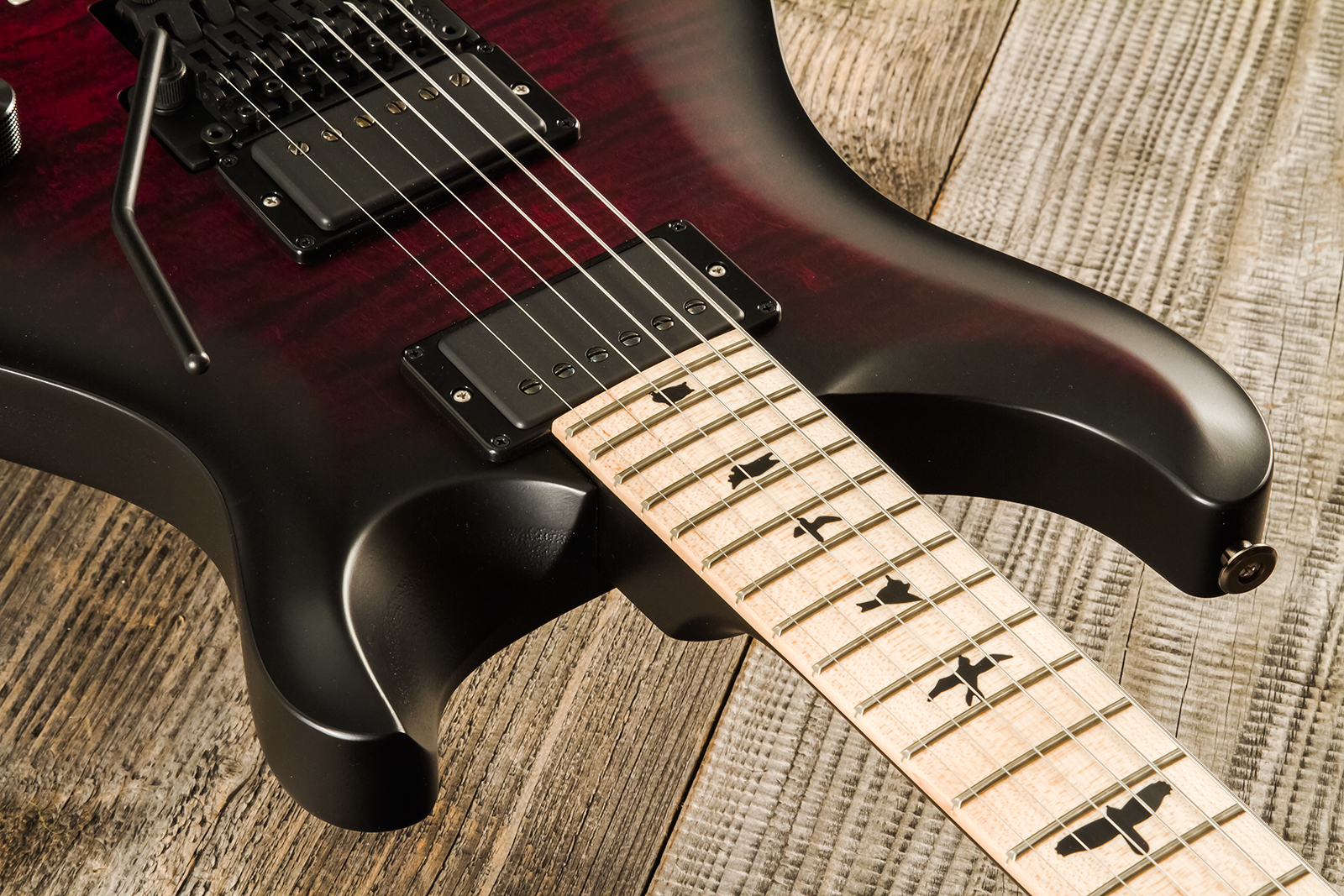 Prs Dustie Waring Dw Ce 24 Floyd Bolt-on Usa Signature 2h Fr Mn - Waring Smokeburst - Double cut electric guitar - Variation 4