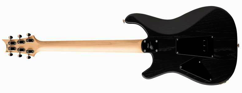 Prs Fiore Hh Satin Bolt-on Usa 2h Trem Rw - Black Hyacinth - Double cut electric guitar - Variation 1