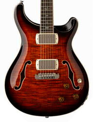 SE Hollowbody II Piezo (Wing Tuners) - orange tiger smokeburst