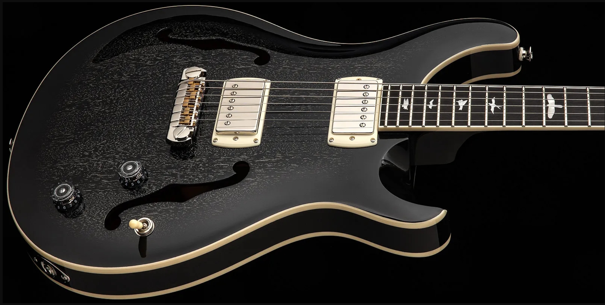 Prs Hollowbody Standard Se 2h Ht Eb - Dog Hair Smokeburst - Semi-hollow electric guitar - Variation 3