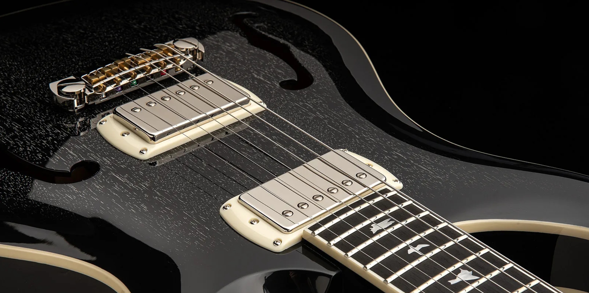 Prs Hollowbody Standard Se 2h Ht Eb - Dog Hair Smokeburst - Semi-hollow electric guitar - Variation 4