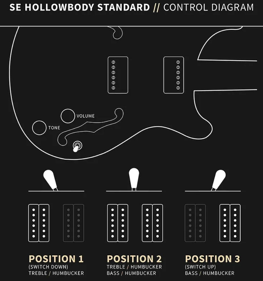 Prs Hollowbody Standard Se 2h Ht Eb - Dog Hair Smokeburst - Semi-hollow electric guitar - Variation 6