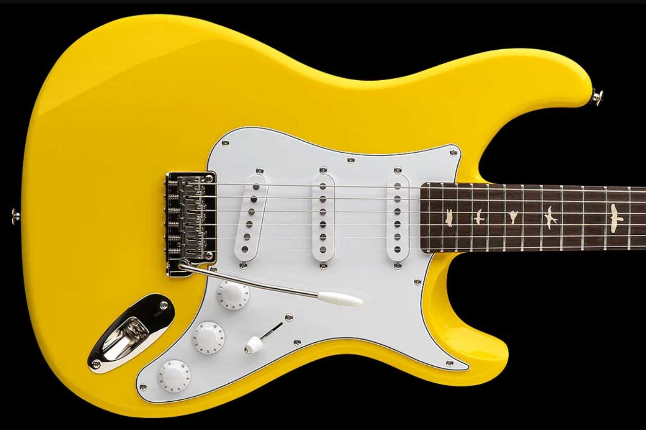 Prs John Mayer Silver Sky Rosewood Se Signature 3s Trem Rw - Dandy Lion - Str shape electric guitar - Variation 1