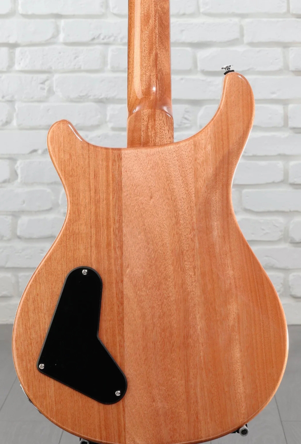 Prs Paul's Guitar Se (wing Tuners) 2h Ht Rw - Slate Blue - Double cut electric guitar - Variation 5