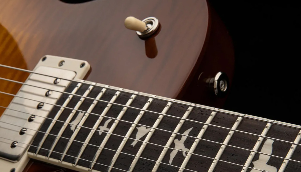 Prs S2 Mccarty 594 Singlecut Usa 2h 58/15lt Ht Rw - Honey Gold Burst - Single cut electric guitar - Variation 3