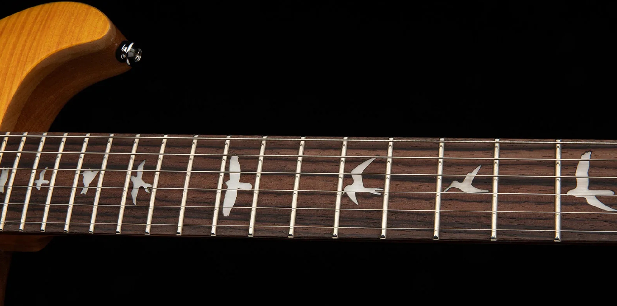 Prs Santana Se Signature 2h Trem Rw - Yellow - Double cut electric guitar - Variation 4