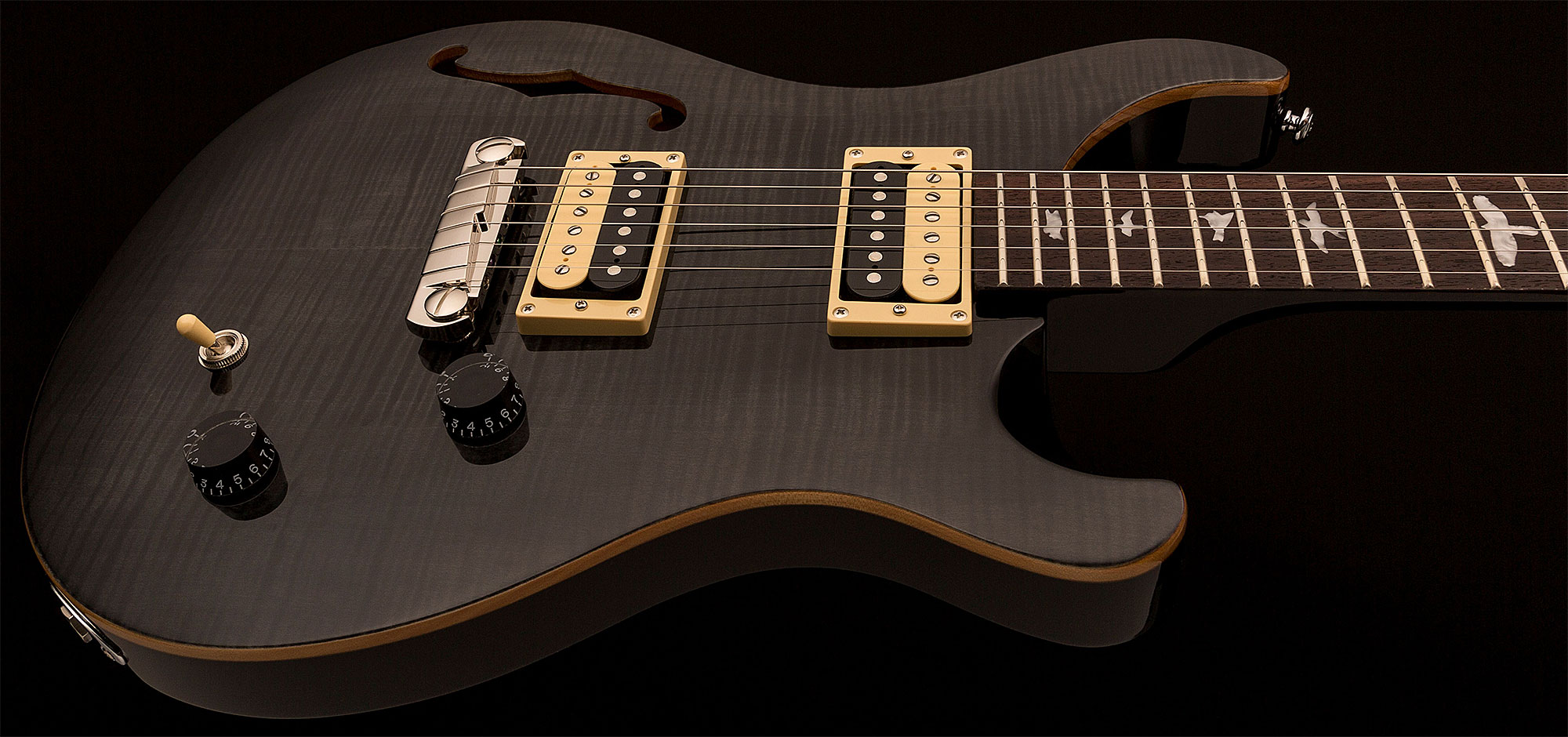 Prs Se Custom 22 Semi-hollow 2017 Hh Ht Rw - Gray Black - Semi-hollow electric guitar - Variation 3