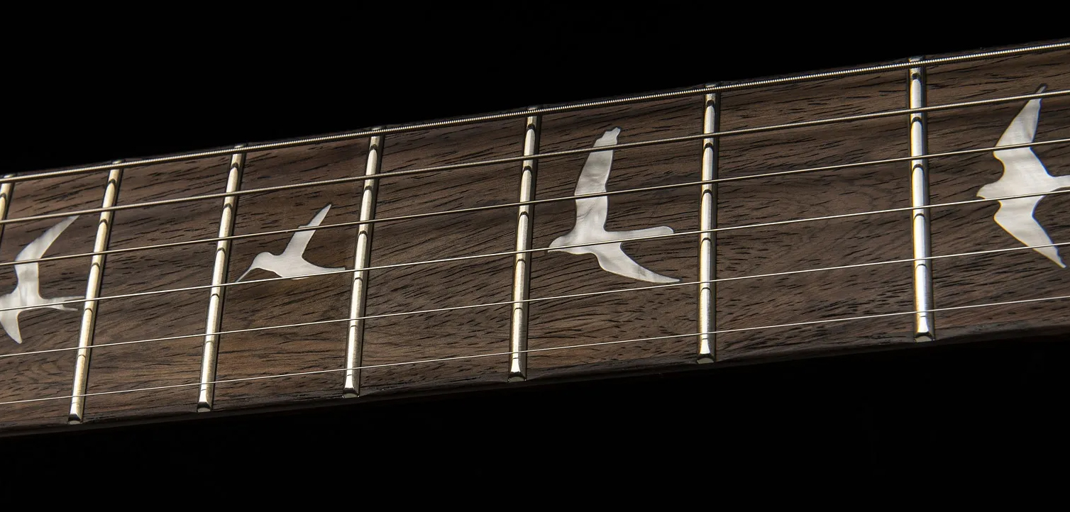 Prs Se Custom 24 2023 2h Trem Rw - Charcoal - Double cut electric guitar - Variation 3