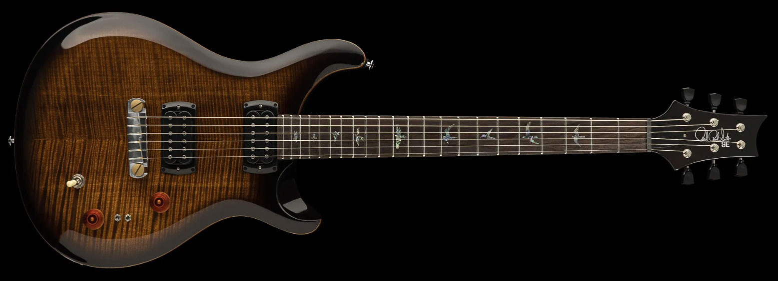 Prs Se Paul's Guitar 2h Ht Rw - Black Gold Burst - Double cut electric guitar - Variation 2