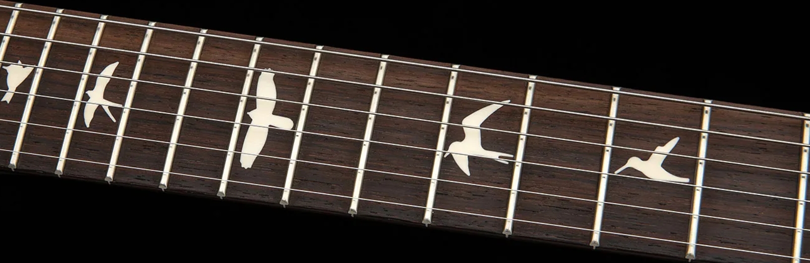 Prs Standard 22 S2 Usa 2h Trem Rw - Metallic Midnight - Double cut electric guitar - Variation 3