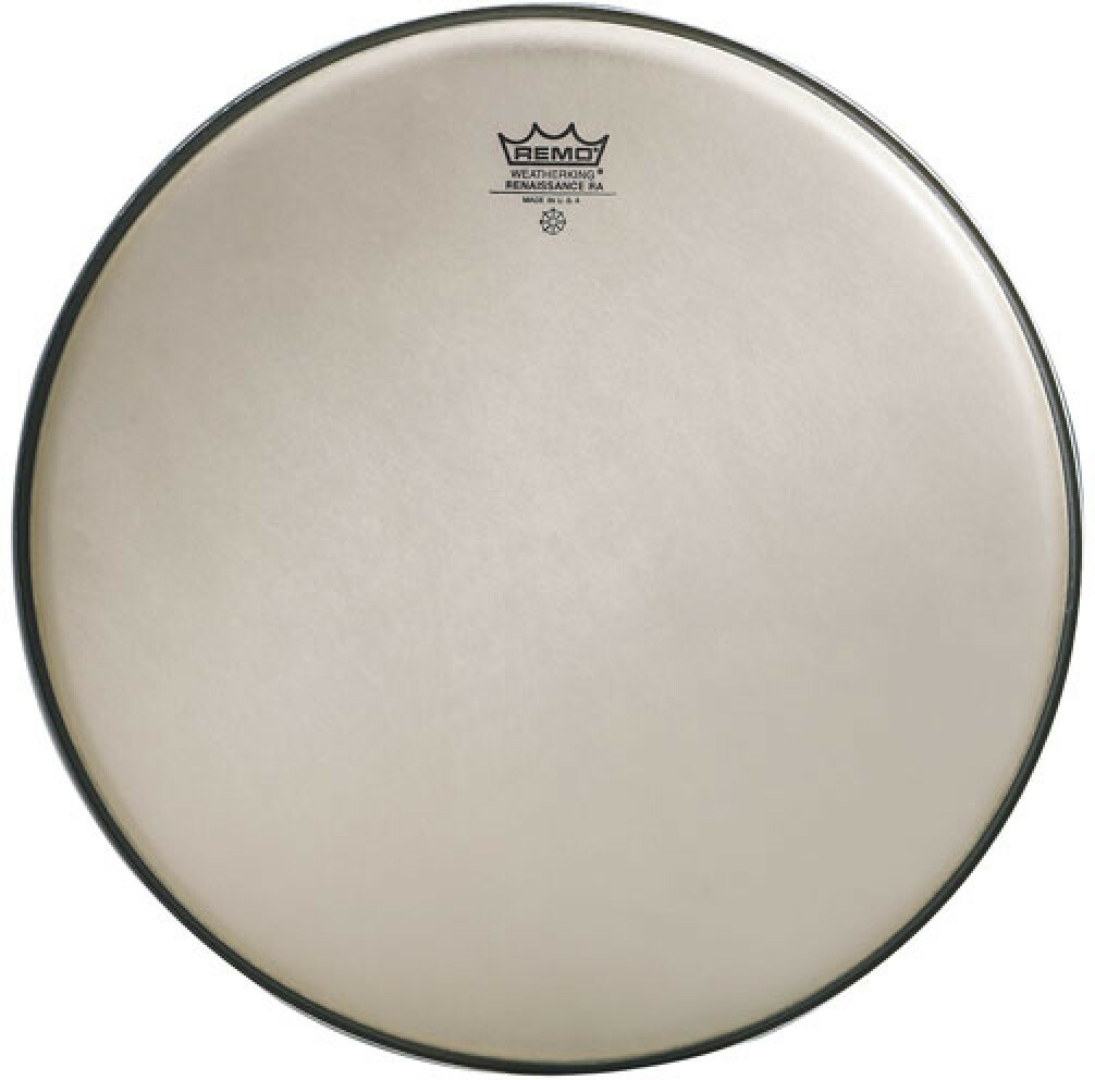 Remo Ambassador Renaissance 14 - 14 Pouces - Tom drumhead - Main picture