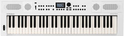 Entertainer keyboard Roland GO:KEYS5-WH