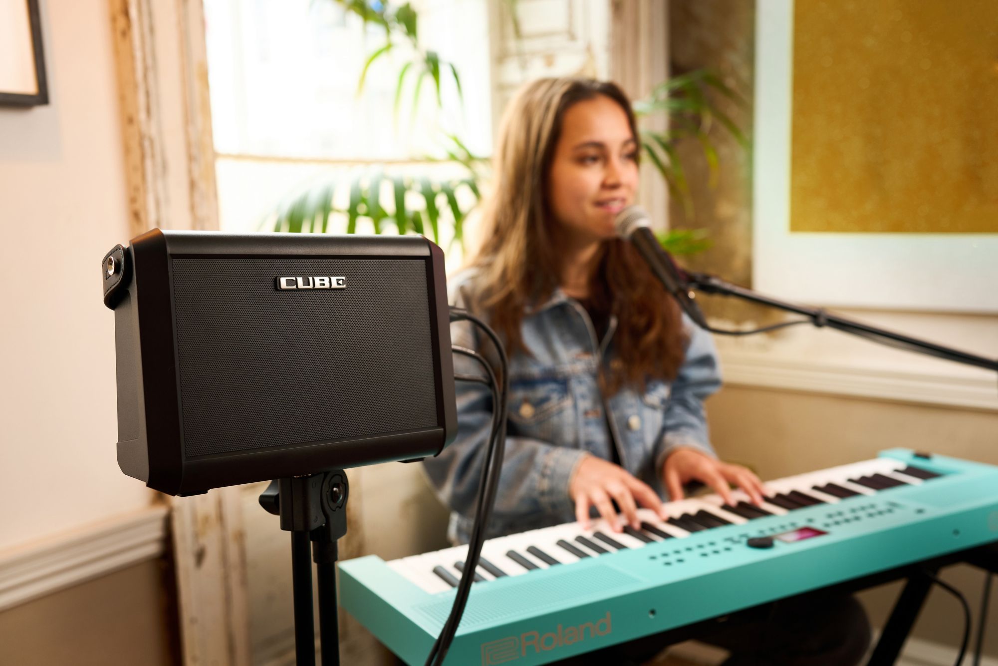 Roland Cube Street Mini Multi-instrument Battery Amplifier - Portable PA system - Variation 4