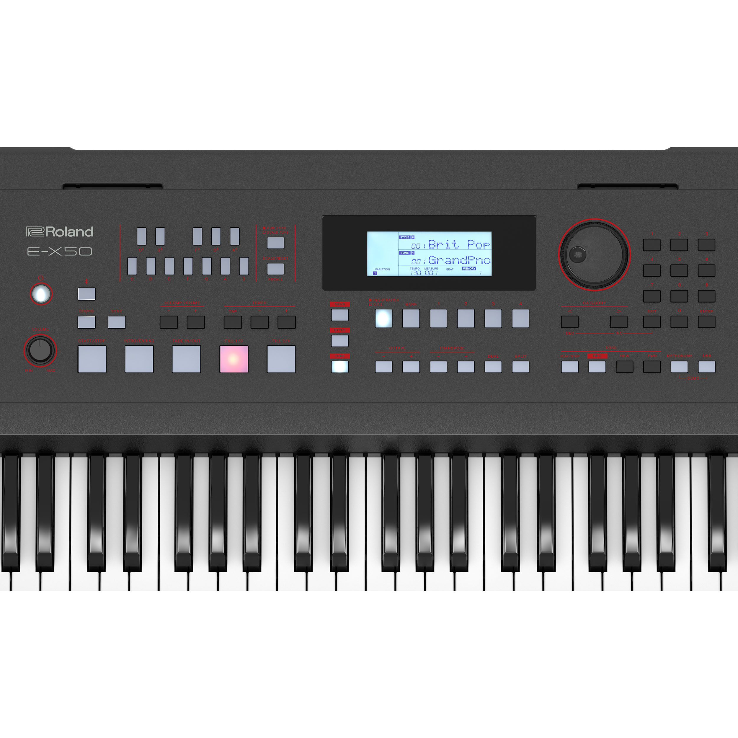 Roland E-x50 - Entertainer Keyboard - Variation 9