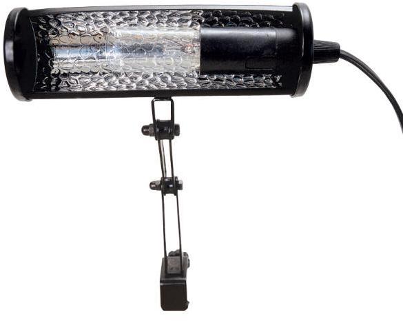 Bulb Rtx LPX