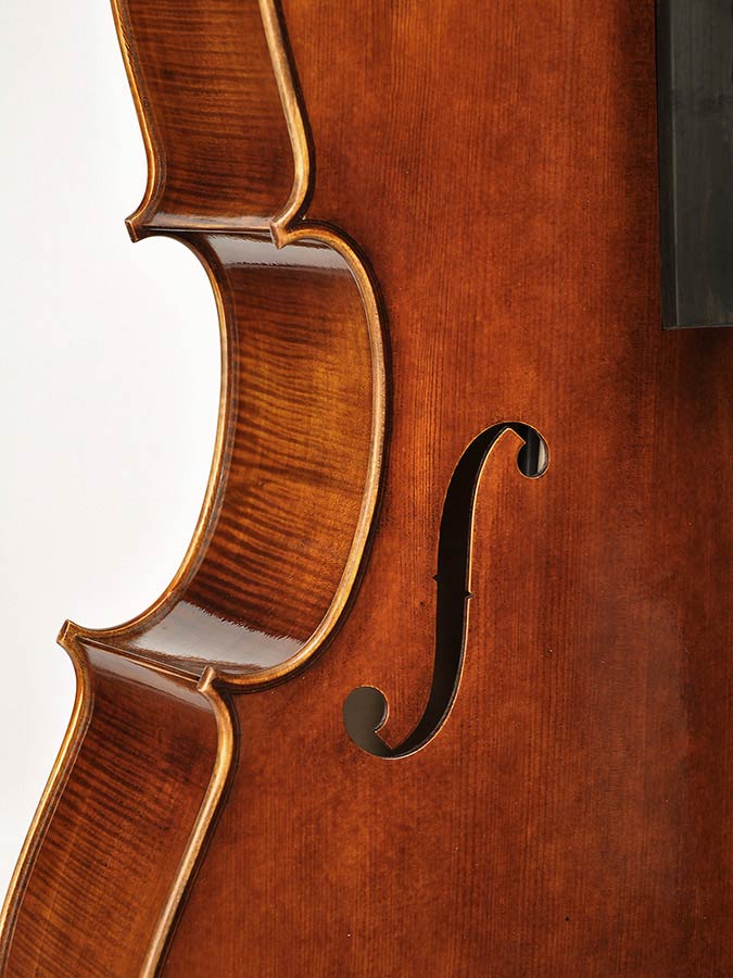 Rudolph Violoncelle 4/4 - Acoustic cello - Variation 4