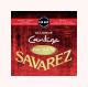 510 ARP Cantiga Normal - set of strings