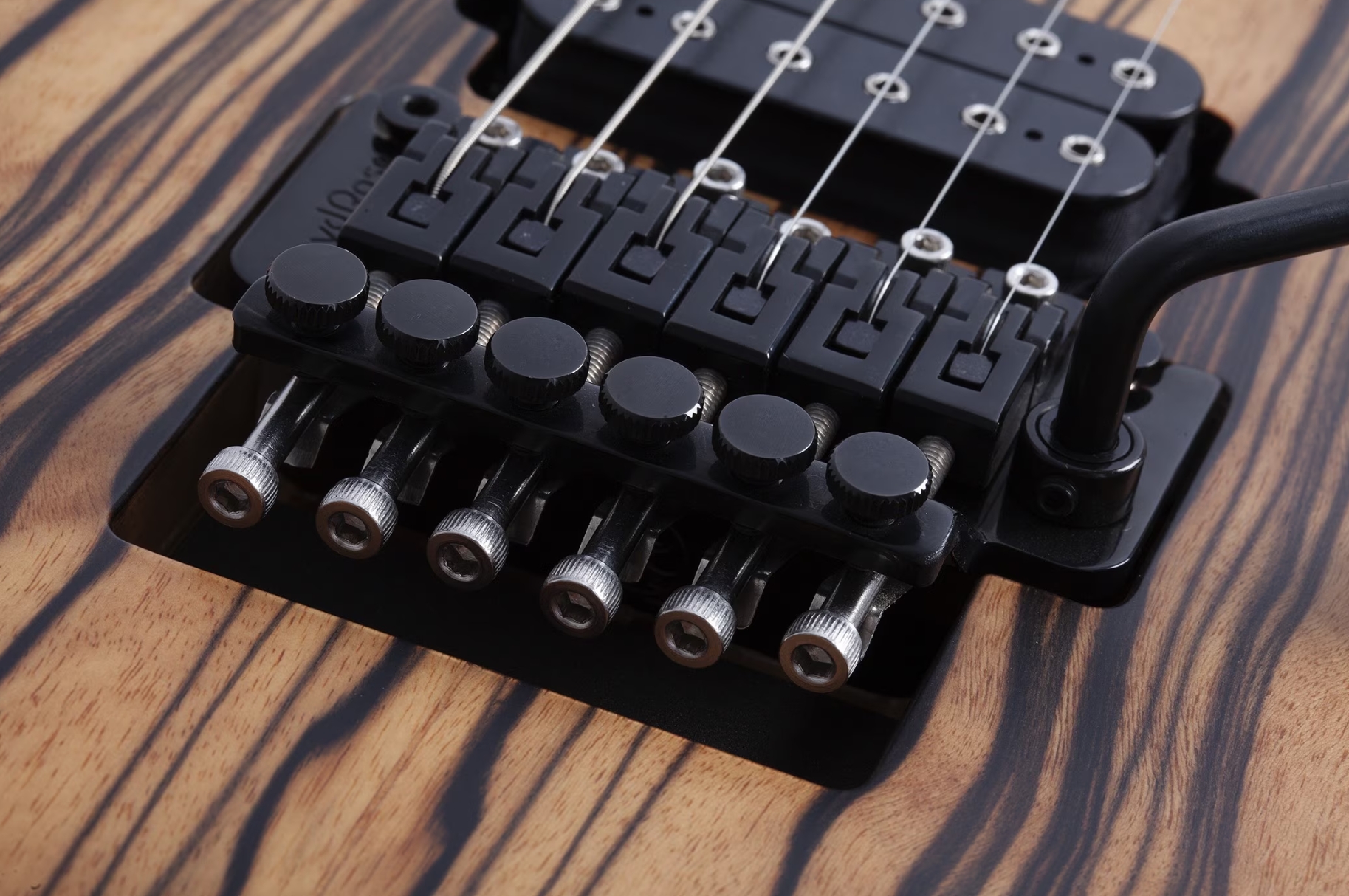 Schecter C1 Fr-s Pale Moon 2h Sustainac Fr Ric - Natural Satin Black Burst - Str shape electric guitar - Variation 4