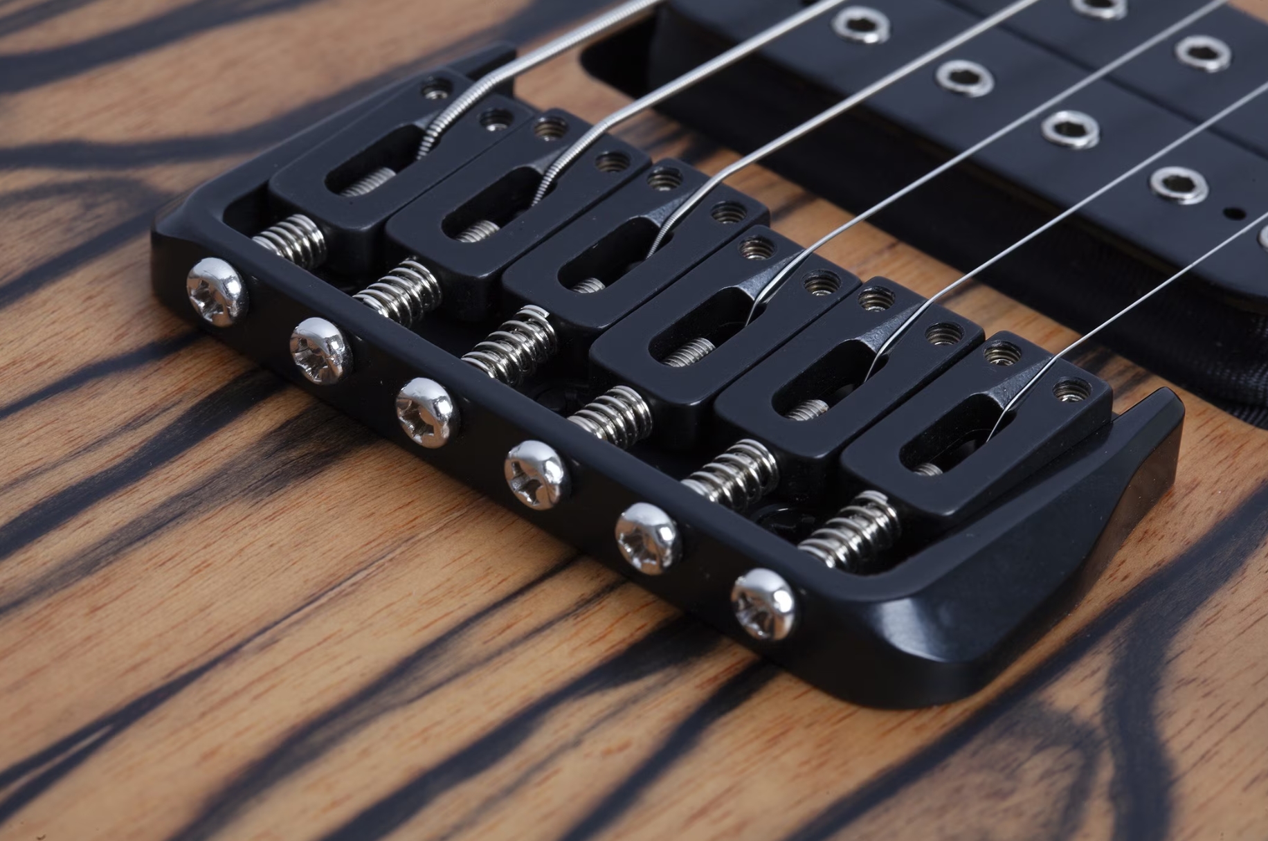 Schecter C1 Pale Moon 2h Ht Ric - Natural Satin Black Burst - Str shape electric guitar - Variation 4