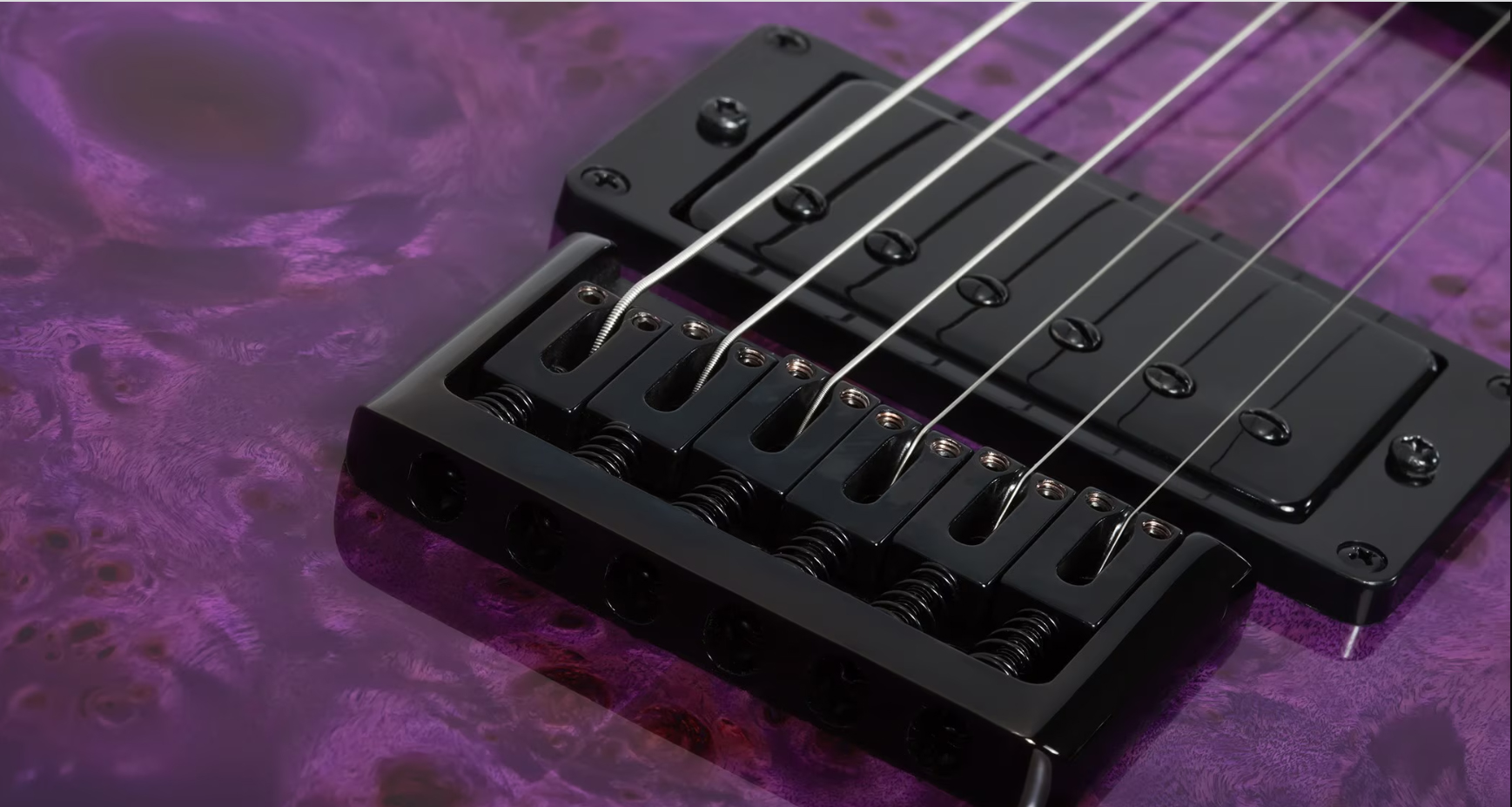 Schecter Pt Standard 2h Ht Rw - Purple Burst Burl - Tel shape electric guitar - Variation 3