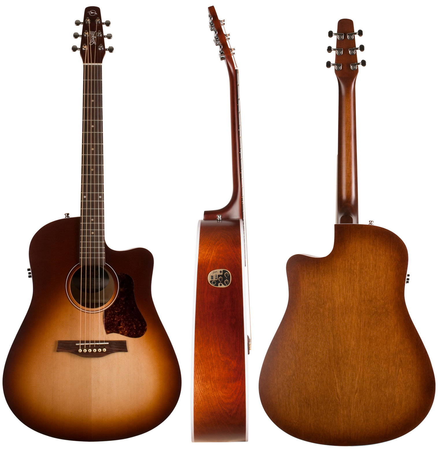 Seagull Entourage Cw Qit Dreadnought Epicea Merisier - Autumn Burst - Electro acoustic guitar - Variation 1