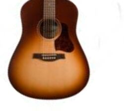 Folk guitar Seagull Entourage +Bag - Autumn burst