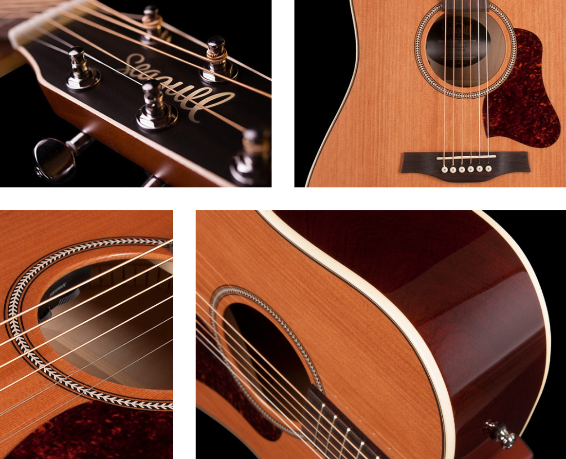 Seagull Momentum Coastline A/e Hg Dreadnought Cedre Merisier +housse - Natural - Electro acoustic guitar - Variation 2