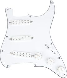 Electric guitar pickup Seymour duncan Everything Axe Pickguard