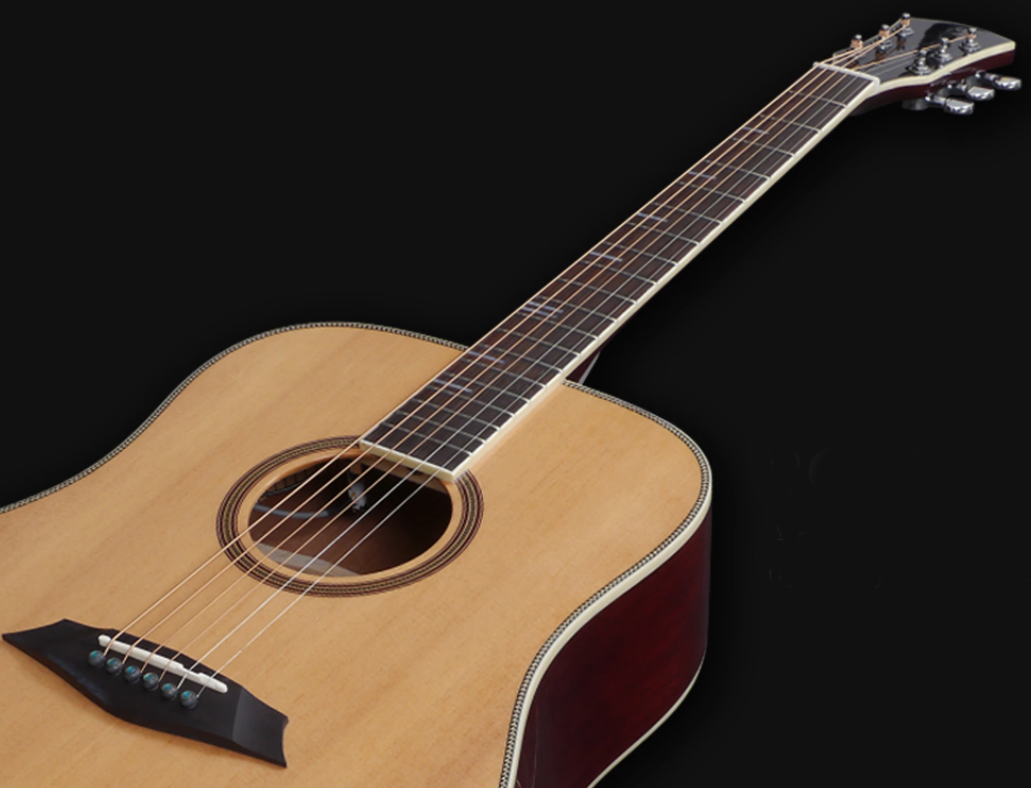 Sire Larry Carlton A4-d Dreadnought Epicea Acajou Rw - Natural - Electro acoustic guitar - Variation 1