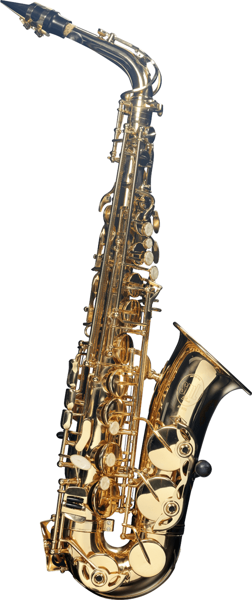 Sml A300 - Alto saxophone - Main picture