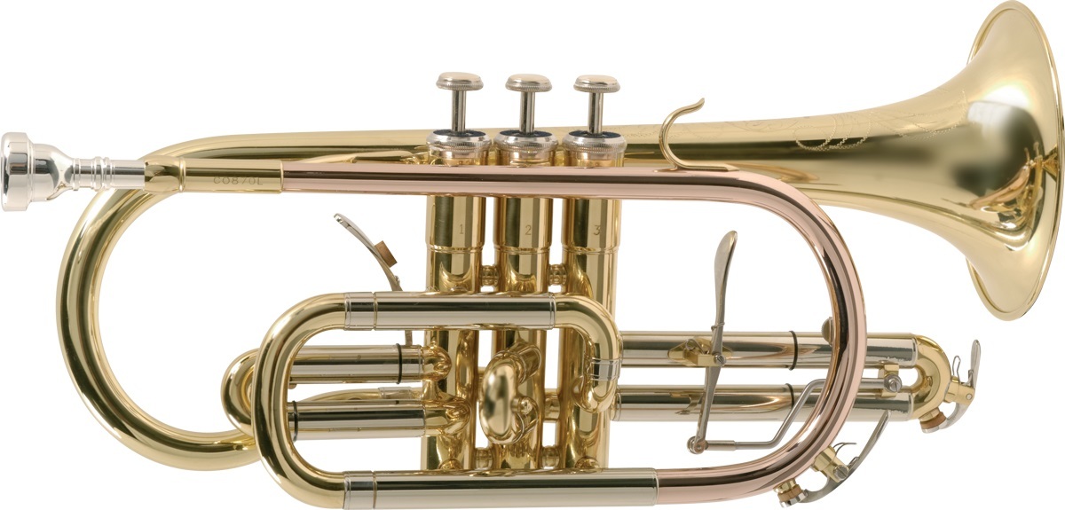 Professional cornet store